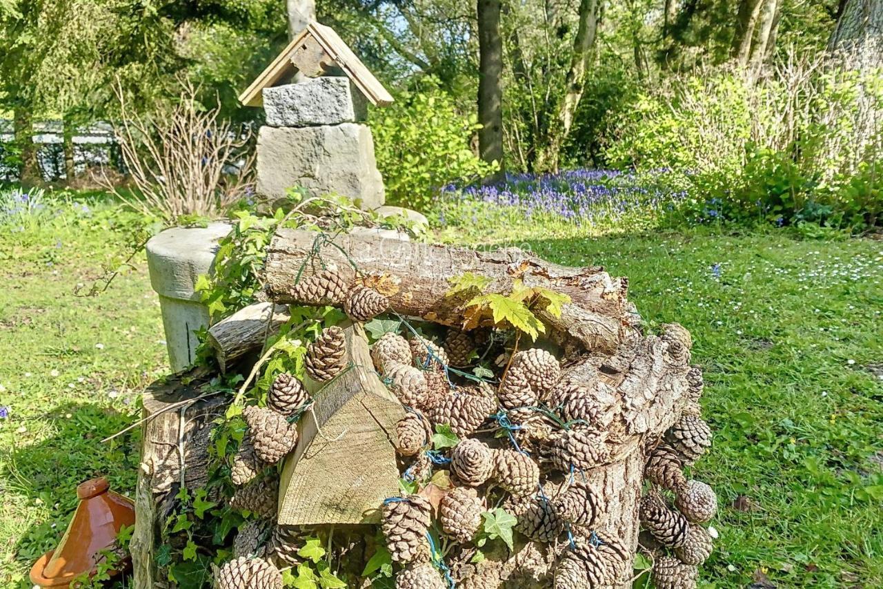 Bg32 - Mer & Bois De Cise Maison Individuelle Avec Grand Jardin オー エクステリア 写真