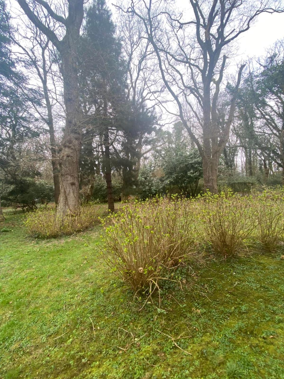 Bg32 - Mer & Bois De Cise Maison Individuelle Avec Grand Jardin オー エクステリア 写真